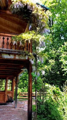 Ein Garten an der Unterkunft Garden Cottage Villa Lichtenstein - Your Austrian Home
