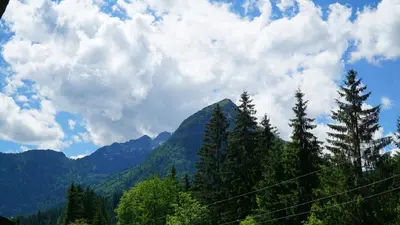 Grundriss der Unterkunft Ferienwohnung Sonnenwald