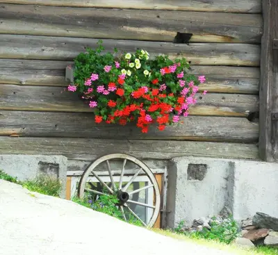Ein Garten an der Unterkunft Sattlehnerhof