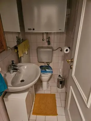 Ein Badezimmer in der Unterkunft Wohnung im Nationalpark Kalkalpen 1