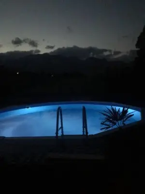 Der Swimmingpool an oder in der Nähe von Landhaus - Neubauer