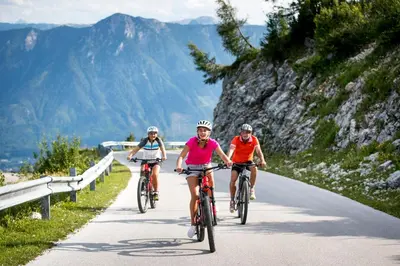 Gäste, die in der Unterkunft B&B Hallstatt Lake OBERTRAUN self check in übernachten