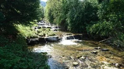 Naturlandschaft in der Nähe des Ferienhauses