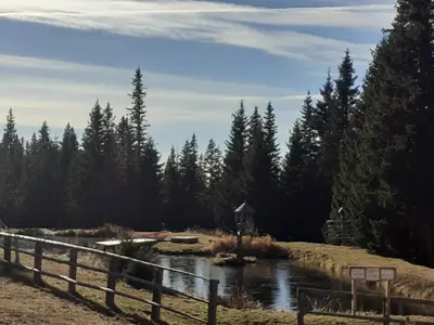 Naturlandschaft in der Nähe des Ferienhauses