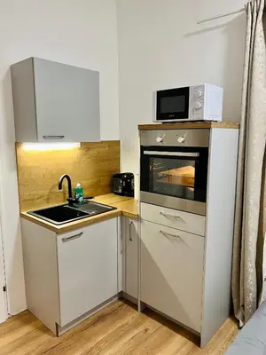 Küche/Küchenzeile in der Unterkunft Apartment Loser im Zentrum