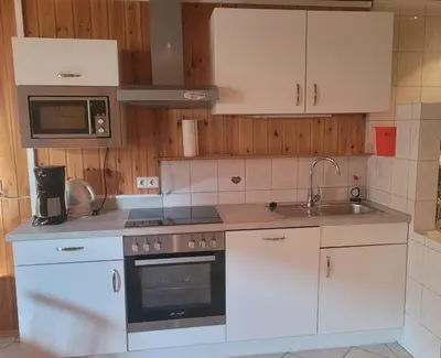 Küche/Küchenzeile in der Unterkunft Appartement Pölzl Öblarn Region Schladming Dachstein