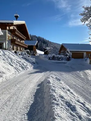 Naturlandschaft in der Nähe der Ferienwohnung