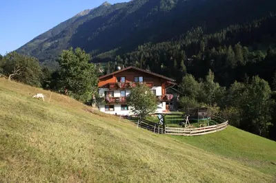 Naturlandschaft in der Nähe des Bauernhofs