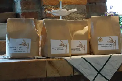 Grundriss der Unterkunft Hainererhof