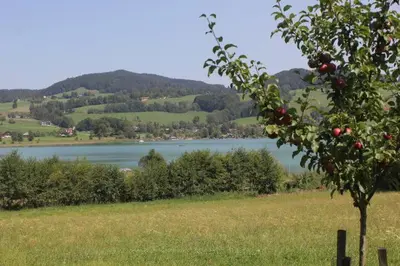 Naturlandschaft in der Nähe der Ferienwohnung