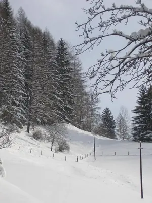 Gasthof Trattner Pension Waldhof im Winter