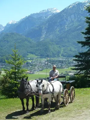 Naturlandschaft in der Nähe der Pension