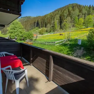 Huberhof 4 by Alpenidyll Apartments
