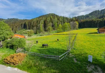Naturlandschaft in der Nähe der Ferienwohnung