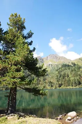 Naturlandschaft in der Nähe des Chalets