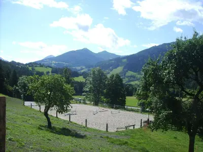 Naturlandschaft in der Nähe des Bauernhofs