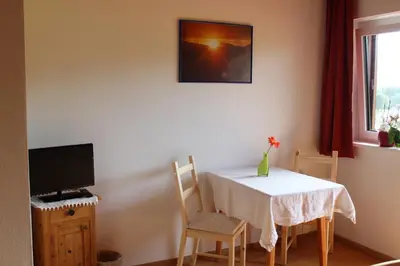 TV/Unterhaltungsangebot in der Unterkunft Mountain-View