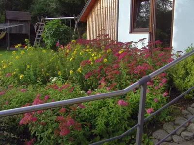 Ein Garten an der Unterkunft Gästehaus Macheiner