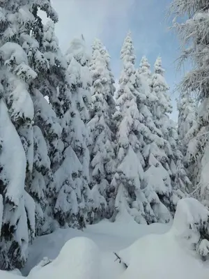 Zimmer im Lungau im Winter