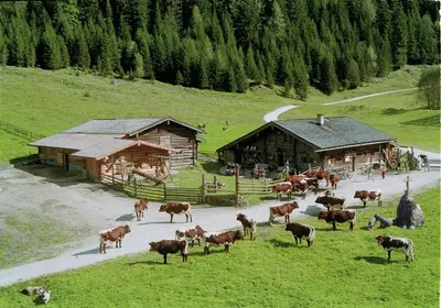Tiere in der Ferienwohnung oder in der Nähe