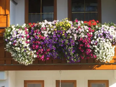 Ein Garten an der Unterkunft Haus Sonnental