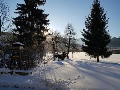 Top-Apartment Pfarrwerfen im Winter