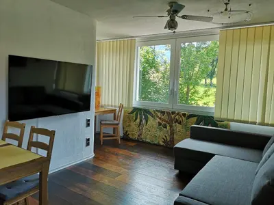 TV/Unterhaltungsangebot in der Unterkunft Apartment Schwarzindien