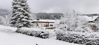 Chalet Kultique im Winter