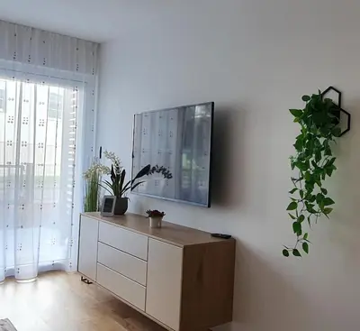 TV/Unterhaltungsangebot in der Unterkunft Fountain Suite Gmunden - garden - Luxuriöses Apartment mit Garten & Terrasse