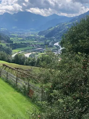 Naturlandschaft in der Nähe der Ferienwohnung
