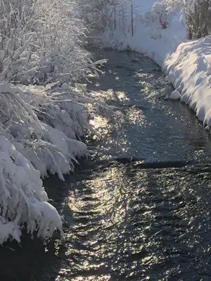 Biohof-Feichtinger im Winter