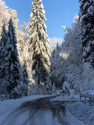 Biohof-Feichtinger im Winter