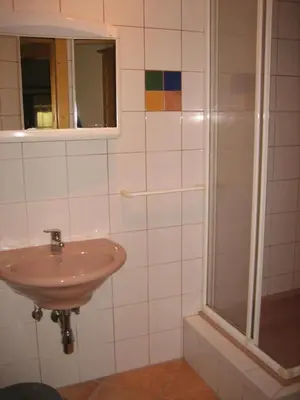 Ein Badezimmer in der Unterkunft Ferienwohnung Hofer