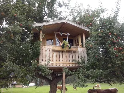 Ein Garten an der Unterkunft Appartment Romy