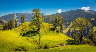 Naturlandschaft in der Nähe des Ferienhauses