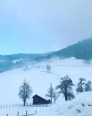Bio Schartenhof im Winter