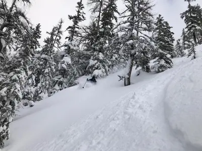 Bergheimat im Winter
