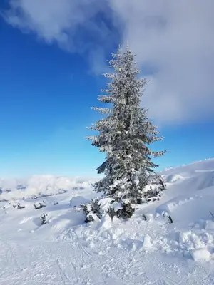 Appartementhaus Radstadt im Winter