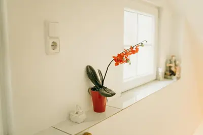 Grundriss der Unterkunft A cozy home away from home