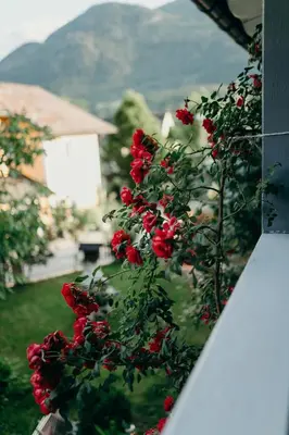 Ein allgemeiner Bergblick oder ein Berglick von der Ferienwohnung aus