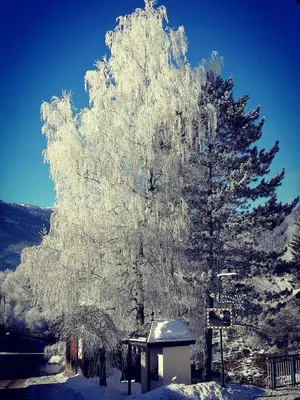 Appartement Baier im Winter