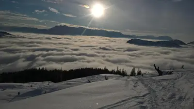 Ferienwohnung Schmaranzer im Winter