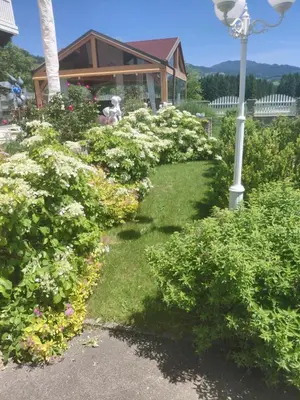Ein Garten an der Unterkunft Gästehaus Raab