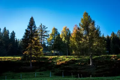 Naturlandschaft in der Nähe des Ferienhauses
