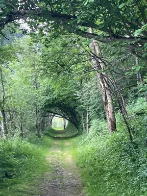 Naturlandschaft in der Nähe der Ferienwohnung