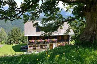 Naturlandschaft in der Nähe des Ferienhauses
