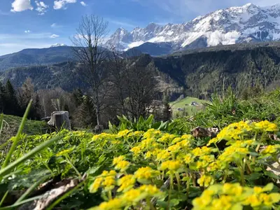 Naturlandschaft in der Nähe des Ferienhauses