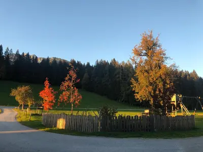 Ein Garten an der Unterkunft Pircherhof Appartements
