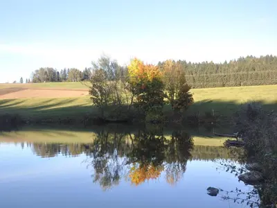 Naturlandschaft in der Nähe des Ferienhauses