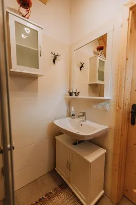 Ein Badezimmer in der Unterkunft Chalet Aconitum